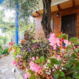 Holiwood Himare